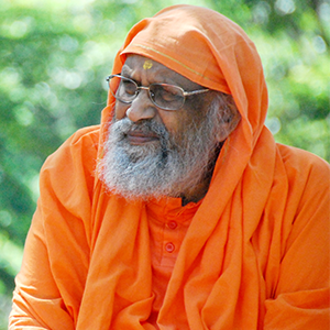 Pujya Sri Swami Dayananda Saraswati, Guru